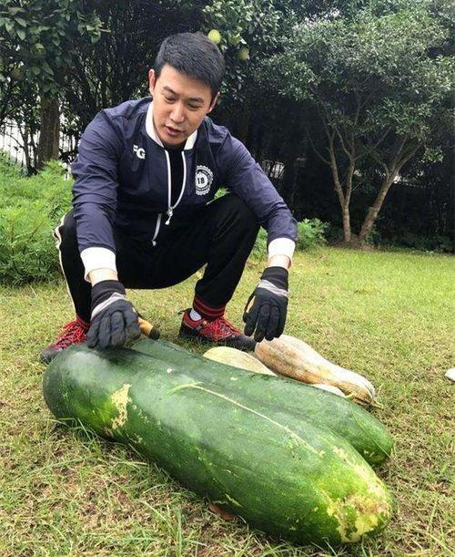 濮阳医专吃瓜爆料,揭秘校园内幕，真相大白！