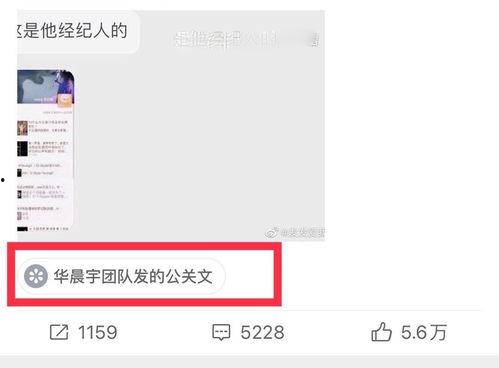 全网最全吃瓜爆料视频,揭秘娱乐圈惊天秘密大揭秘！