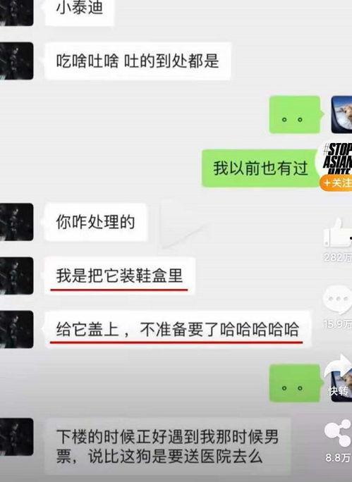 吃瓜最新真相爆料视频,视频爆料揭示惊人内幕