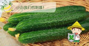 六个吃瓜爆料,揭秘娱乐圈幕后真相