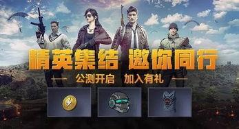 和平精英吃瓜爆料id,吃瓜爆料ID背后的神秘故事