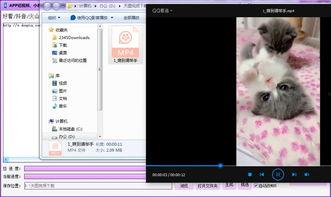 吃瓜爆料快手视频下载,快手视频下载背后的秘密