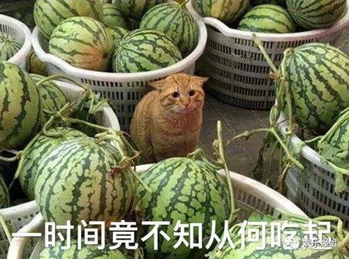 网红吃瓜爆料718,718事件背后的惊人真相