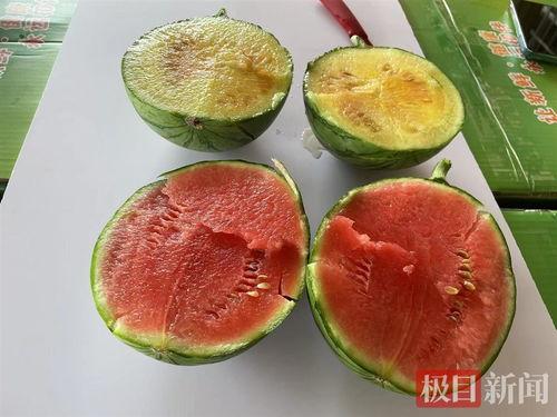 武汉爆料最新吃瓜新闻,吃瓜群众聚焦神秘事件，真相即将揭晓