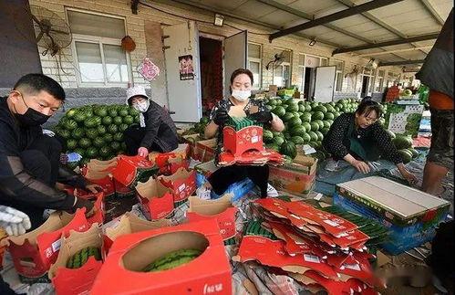 潍坊吃瓜群众爆料视频,揭秘热门事件幕后真相