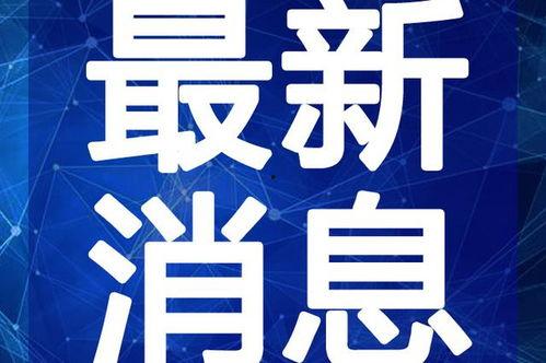 文安吃瓜爆料视频最新,揭秘娱乐圈最新热点事件